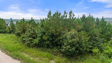 411 Kaisley Blue Eye Way, Broken Bow, OK 74728 - photo 7