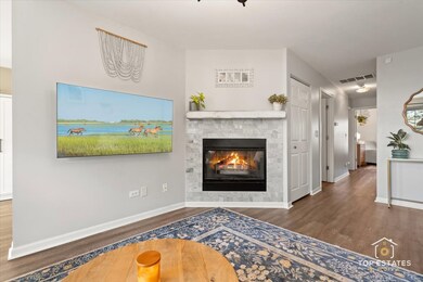 310 Buckingham Cir unit B, Elgin, IL 60120 - photo 6