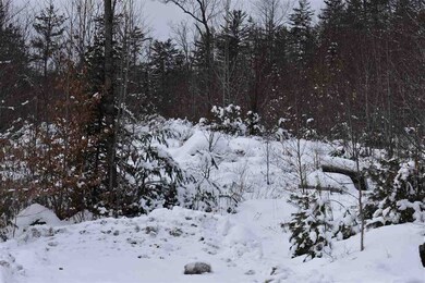 17 Boynton Ln, Littleton, NH 03561 - photo 6