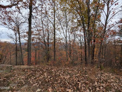 2313 Grey Fox Run, Sevierville, TN 37862 - photo 4