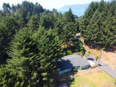 Aerial house to ocean