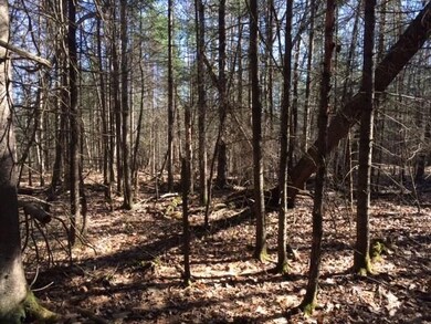 0 Mill Pond Rd, Durham, ME 04222 - photo 5