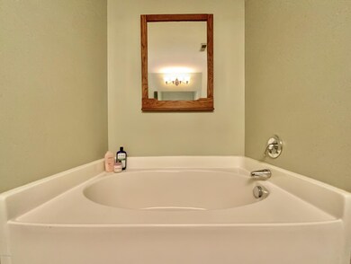 Soaking tub Master Bathroom