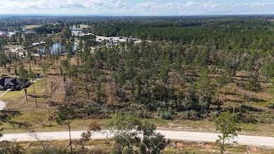 TBD 7 Reveille Rd, Livingston, TX 77351 - photo 3