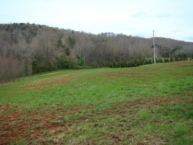 42.37 ac Cherry Creek Rd, Cookeville, TN 38506 - photo 6