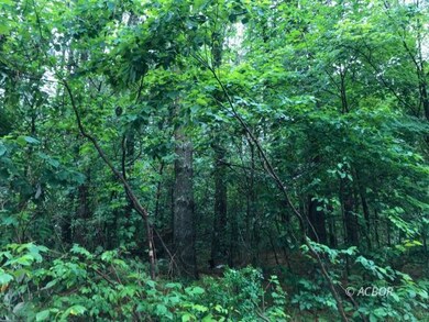 East Branch Rd