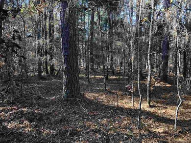 0 Highway 405 unit 3.9 1315307, Oxford, MS 38655 - photo 3