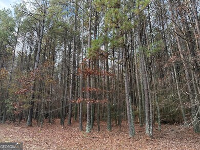 0 Branson Crossing Rd unit 2, Kingston, GA 30145 - photo 3