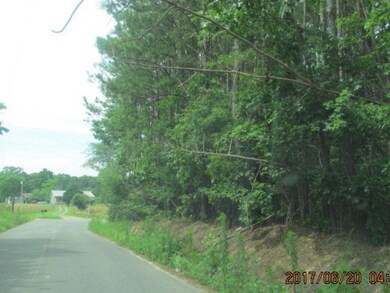 5 wooded acres