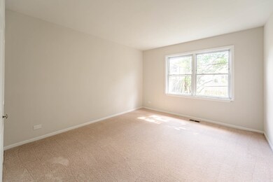 548 Fessler Ave, Naperville, IL 60565 - photo 6