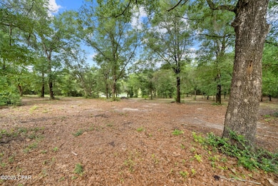 1371 Deadening Rd, Chipley, FL 32428 - photo 5