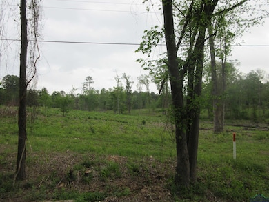 View of landscape