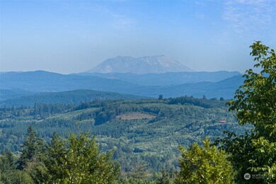 422 Burnt Ridge Rd, Onalaska, WA 98570 - photo 7