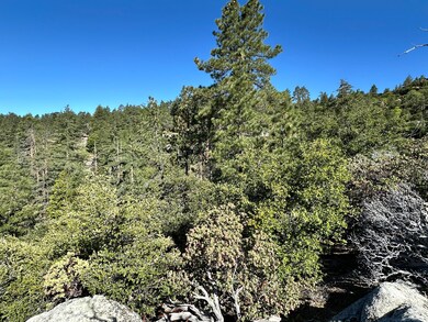 0 Mountain View unit 219139481DA, Idyllwild, CA - photo 3