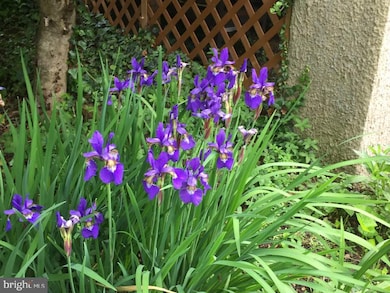 712 Murdock Rd, Baltimore, MD 21212 - photo 5