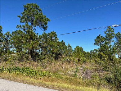 0 54th Ave NE unit 225080151, Naples, FL 34120 - photo 4