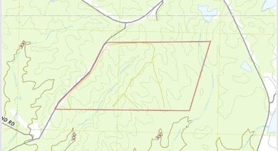 + - 195 Acres unit Hinds County MS, Utica, MS 39170 - photo 4