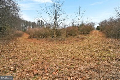 0 Beech Hollow Rd unit PASK2009194, Schuylkill County, PA 17960 - photo 5