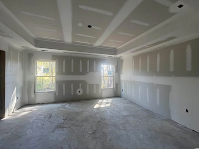 Unfurnished room featuring healthy amount of natural light