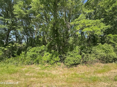 0001 Old Highway 471, Brandon, MS 39042 - photo 5