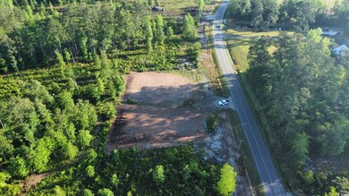 Aerial overview of property's location