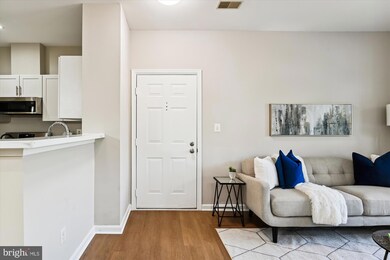 3517 Piney Woods Place unit E201, Laurel, MD 20724 - photo 6