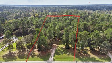 26077 Bent Oak Dr, Hockley, TX 77447 - photo 2