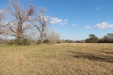2345 County Road 315, Brazoria, TX 77422 - photo 7