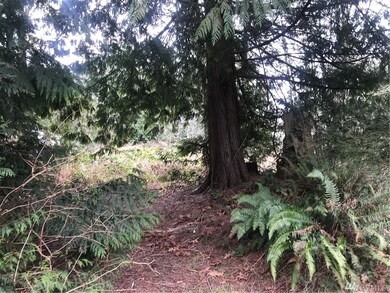 5 Freestad Rd, Arlington, WA 98223 - photo 5