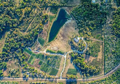 250 Farm To Market 3128, Coldspring, TX 77331 - photo 7