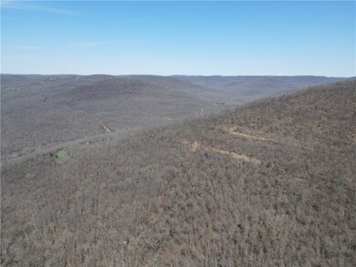 0 S Winfrey Valley Rd unit 1243483, Winslow, AR 72959 - photo 6