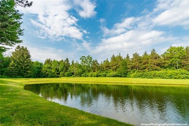 Over an acre of spring fed, super clean pond!