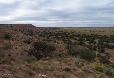 000 N6315 unit 115, Saint Johns, AZ 85936 - photo 5