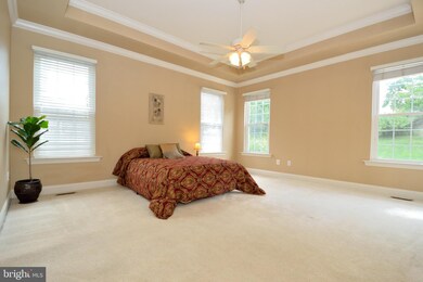 41470 Pensive St, Leonardtown, MD 20650 - photo 7