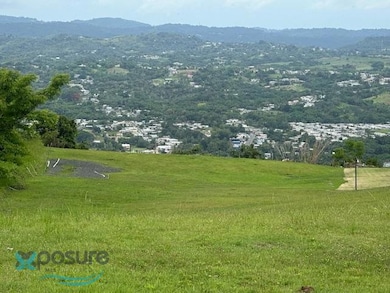 091025 Sr 119 Km 28 7 Int Bo Hoyamala Sector Lechuza, San Sebastián, PR 00685 - photo 4