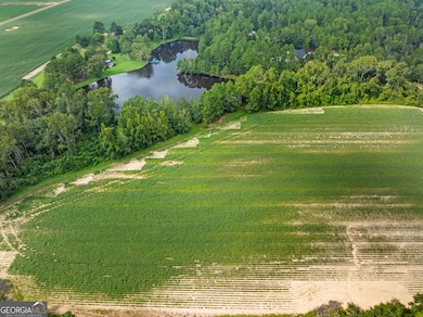 0 Miller Street Extension unit LOT 22, Statesboro, GA 30458 - photo 6