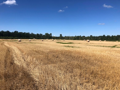 V/L 40AC Long Rapids Rd, Lachine, MI 49753 - photo 3