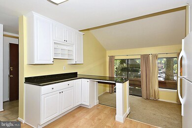 5610 Vantage Point Rd, Columbia, MD 21044 - photo 4