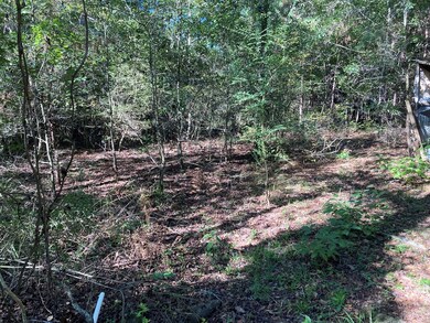 813 E Brenda Ln, Magnolia, TX 77354 - photo 3