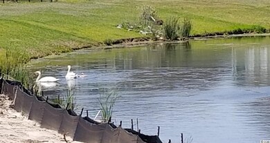 924 Berkshire Ave unit LOT 100, Myrtle Beach, SC 29577 - photo 4