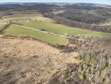 0 Tuhro Rd, Athens, PA 18810 - photo 4