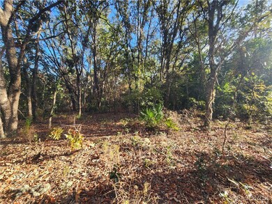 2176 W Conway Dr, Citrus Springs, FL 34434 - photo 6