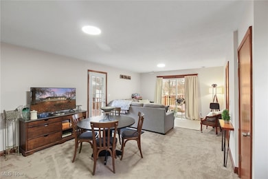 5212 Langfitt St, Vermilion, OH 44089 - photo 7