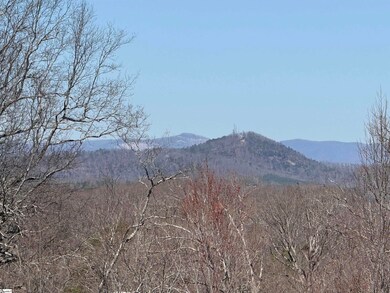 407 Mulberry Rd, Easley, SC 29640 - photo 3