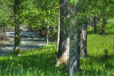 13830 (Lot A) Cottonwood Rd, Bozeman, MT 59718 - photo 2