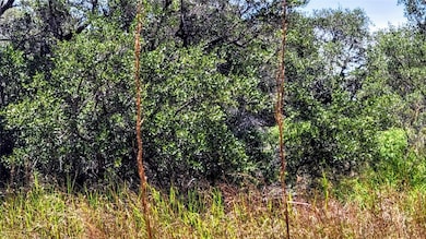 0 Proposed Hwy 35 unit 461368, Rockport, TX 78382 - photo 3