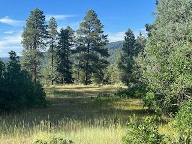 TBD Log Ridge Trail, Chama, NM 87520 - photo 2