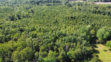 View of property location with a forest