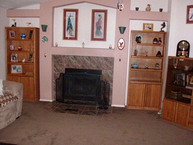 Woodburning Fireplace
