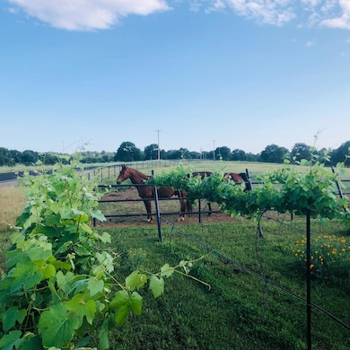 19055 Del Mar Dr, Cottonwood, CA 96022 - photo 4